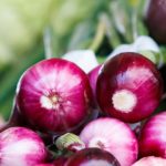 Syrop z cebuli - właściwości, dawkowanie i przepis syrop z cebuli